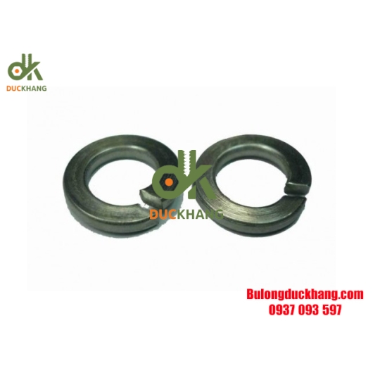 Long Đền Vênh 8.8